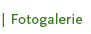 Galerie
